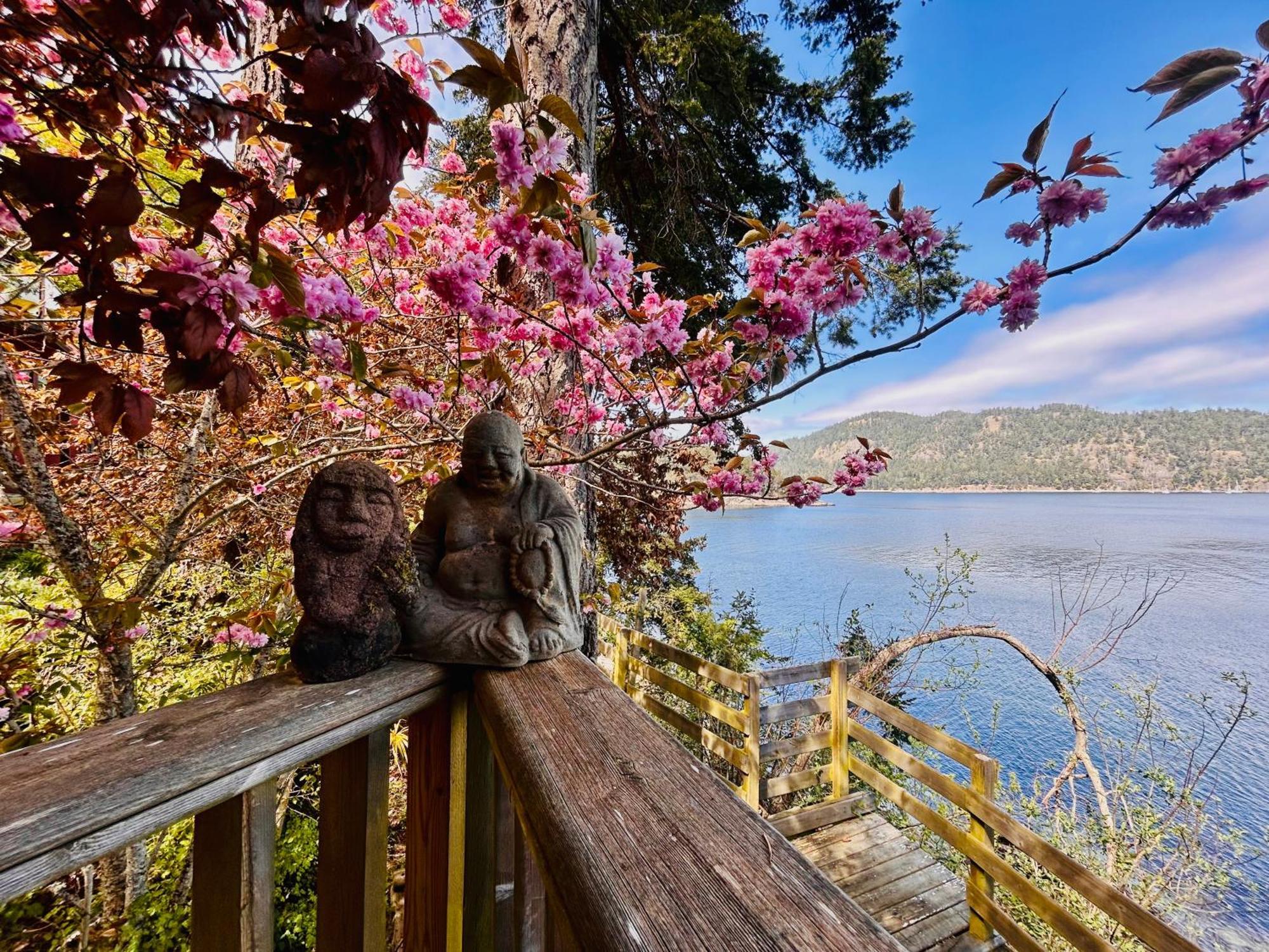 Shangrila Waterfront Vacation Home Bedwell Harbour Экстерьер фото